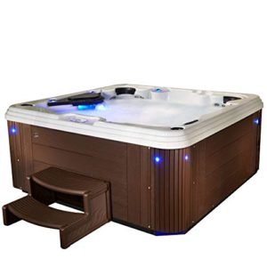 Essential Hot Tubs 67-Jets 2021 Syracuse Espresso Hot Tub Product Image
